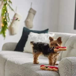 Frisco Holiday Bacon Plush Squeaky Dog Toy, 2 Count -Frisco 287143 PT3. AC SS1800 V1632774888