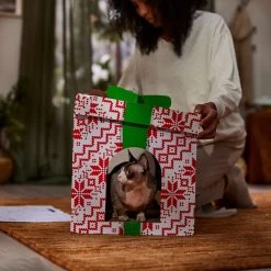 Frisco Holiday Gift Box Cardboard Cat House -Frisco 287291 PT3. AC SS1800 V1695043502