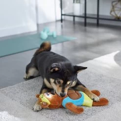 Frisco Fitness Bear Reversible Plush Squeaky Dog Toy 7 Frisco Fitness Bear Reversible Plush Squeaky Dog Toy -Frisco 288897 PT3. AC SS1800 V1638291713