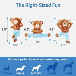 Frisco New Year, New Me Namaste Bear Plush Squeaky Dog Toy -Frisco 288905 PT1. AC SS1800 V1640722504