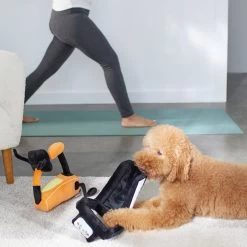 Frisco Treadmill & Bike Plush Squeaky Dog Toy, 2 Count 5 Frisco Treadmill & Bike Plush Squeaky Dog Toy, 2 Count -Frisco 288921 PT3. AC SS1800 V1638290517