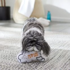 Frisco Message Bubble Plush Squeaky Dog Toy -Frisco 288941 PT3. AC SS1800 V1638289328