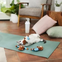 Frisco New Year, New Me Namaste Bear Plush Cat Toy With Catnip -Frisco 288947 PT3. AC SS1800 V1638289414