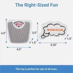 Frisco Scale & Message Bubble Plush Cat Toy With Catnip, 2 Count -Frisco 288959 PT1. AC SS1800 V1640722344