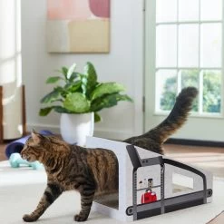 Frisco Treadmill Cardboard Cat House -Frisco 288967 PT3. AC SS1800 V1638288289