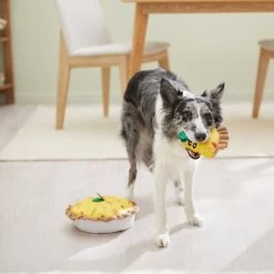 Frisco Brunch Quiche 2-in-1 Plush Squeaky Dog Toy 7 Frisco Brunch Quiche 2-in-1 Plush Squeaky Dog Toy -Frisco 297248 PT3. AC SS1800 V1642089163