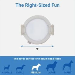 Frisco Brunch Pastry Plate Plush Squeaky Dog Toy -Frisco 297262 PT1. AC SS1800 V1643916390