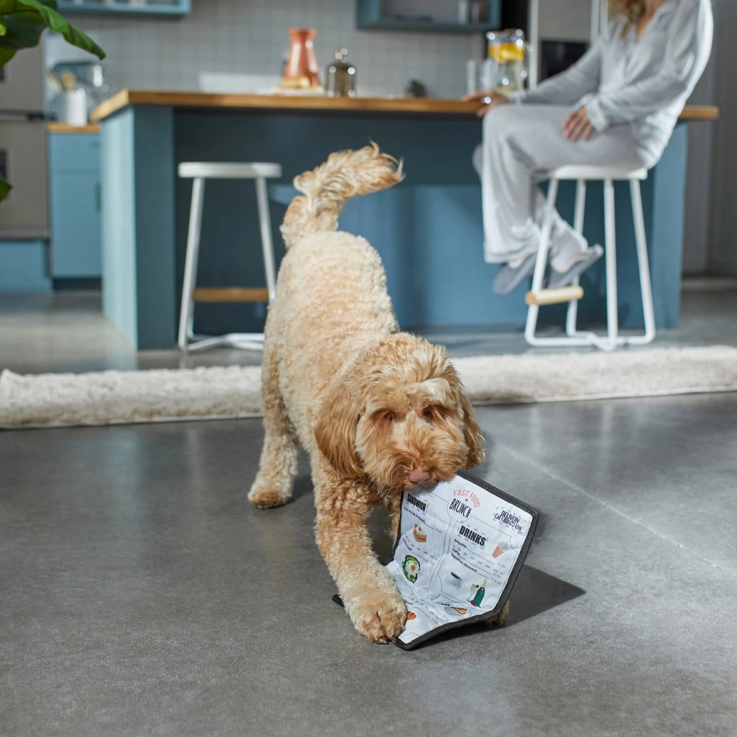 Frisco Brunch Menu Ballistic Nylon Flat Plush Squeaky Dog Toy 3 Frisco Brunch Menu Ballistic Nylon Flat Plush Squeaky Dog Toy - Image 3