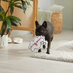 Frisco Brunch Word Bubble Plush Squeaky Dog Toy -Frisco 297286 PT3. AC SS1800 V1642087915