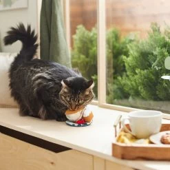 Frisco Brunch Teacup Plush Cat Toy With Catnip 5 Frisco Brunch Teacup Plush Cat Toy With Catnip -Frisco 297292 PT2. AC SS1800 V1642088843