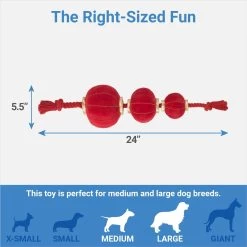 Frisco Lunar New Year Lantern Plush With Rope Squeaky Dog Toy -Frisco 298885 PT1. AC SS1800 V1673964150