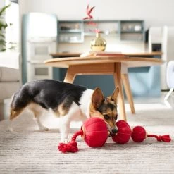 Frisco Lunar New Year Lantern Plush With Rope Squeaky Dog Toy -Frisco 298885 PT3. AC SS1800 V1640269279