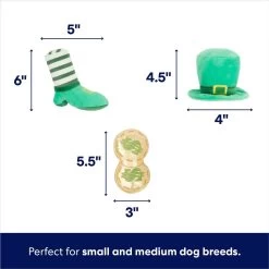 Frisco St. Patrick's Pot Of Gold Hide & Seek Puzzle Plush Squeaky Dog Toy -Frisco 303130 PT2. AC SS1800 V1703016817