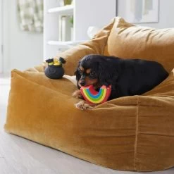 Frisco St. Patrick's Rainbow And Pot Of Gold Latex Squeaky Dog Toy -Frisco 303136 PT4. AC SS1800 V1702500566