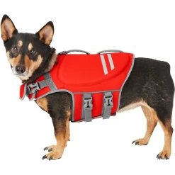 Frisco Neoprene Dog Life Jacket & Frisco Foam Rubber Floating Fetch Ball No Squeak Dog Toy -Frisco 303480 PT1. AC SS1800 V1623062848