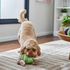 Frisco Easter Bunny Egg Plush Squeaky Dog Toy -Frisco 304960 PT4. AC SS1800 V1702500564