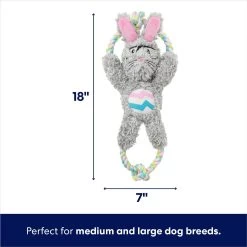 Frisco Easter Bunny Plush With Rope Squeaky Dog Toy -Frisco 304974 PT1. AC SS1800 V1700243716