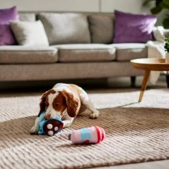 Frisco Valentine Coffee For Two Ballistic Nylon Plush Squeaky Dog Toy -Frisco 312897 PT3. AC SS1800 V1638987357