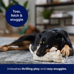 Frisco Realistic Opossum Plush Squeaky Dog Toy 10 Frisco Realistic Opossum Plush Squeaky Dog Toy -Frisco 316929 PT4. AC SS1800 V1695760990