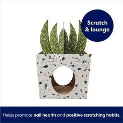 Frisco Potted Succulent Cardboard Cat House 8 Frisco Potted Succulent Cardboard Cat House -Frisco 317723 PT2. AC SS1800 V1689342085