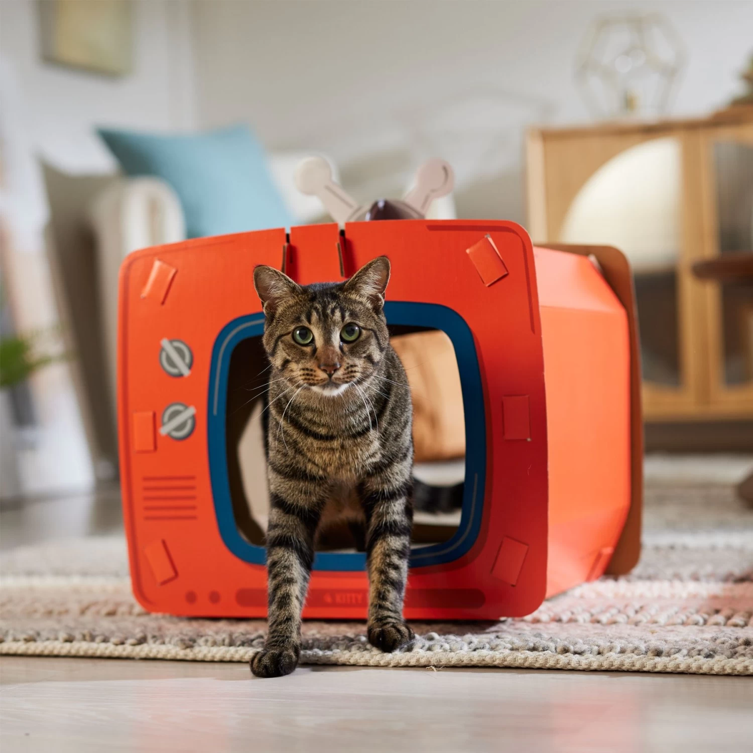 Frisco TV Set Cardboard Cat House 5 Frisco TV Set Cardboard Cat House - Image 5