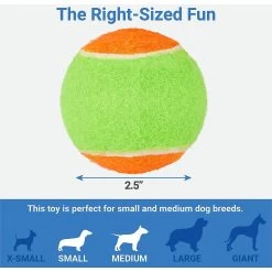 Frisco Fetch Squeaking Colorful Tennis Ball Dog Toy & Project Hive Pet Company Ball Dog Toy -Frisco 319024 PT2. AC SS1800 V1630560689