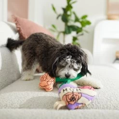 Frisco Mother's Day Rose & Heart Plush Squeaky Dog Toy, 2 Count 5 Frisco Mother's Day Rose & Heart Plush Squeaky Dog Toy, 2 Count -Frisco 327033 PT3. AC SS1800 V1646947953