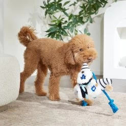 Frisco Dad Gnome Plush With Rope Dog Toy -Frisco 327053 PT3. AC SS1800 V1648667286