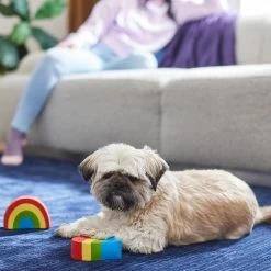 Frisco Pride Rainbow & Heart Latex Squeaky Dog Toy, 2 Count -Frisco 331632 PT3. AC SS1800 V1647355825