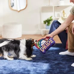 Frisco Pride Rainbow Plush With Rope Squeaky Dog Toy 5 Frisco Pride Rainbow Plush With Rope Squeaky Dog Toy -Frisco 331653 PT3. AC SS1800 V1647356026