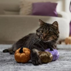 Frisco Halloween Bougie Pumpkins Plush Cat Toy With Catnip 6 Frisco Halloween Bougie Pumpkins Plush Cat Toy With Catnip -Frisco 344014 PT3. AC SS1800 V1657657029
