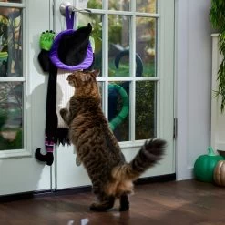 Frisco Halloween Witch Doorknob Hanger Cat Toy With Catnip -Frisco 344092 PT3. AC SS1800 V1657657035