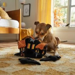 Frisco Halloween Haunted House Hide & Seek Puzzle Plush Squeaky Dog Toy 9 Frisco Halloween Haunted House Hide & Seek Puzzle Plush Squeaky Dog Toy -Frisco 344136 PT3. AC SS1800 V1657657042