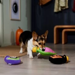 Frisco Halloween Potion Bottles Plush Squeaky Dog Toy -Frisco 344144 PT3. AC SS1800 V1657657048