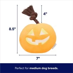 Frisco Halloween Pumpkin Round Plush With Rope Squeaky Dog Toy -Frisco 344152 PT1. AC SS1800 V1689876459