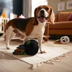 Frisco Halloween Succulents Plush Squeaky Dog Toy -Frisco 344164 PT3. AC SS1800 V1657657049