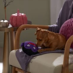 Frisco Halloween Vampire Round Plush Squeaky Dog Toy 7 Frisco Halloween Vampire Round Plush Squeaky Dog Toy -Frisco 344168 PT3. AC SS1800 V1657657049