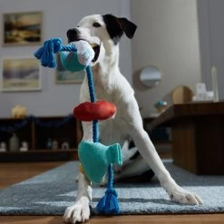 Frisco Hanukkah Celebration Plush With Rope Squeaky Dog Toy -Frisco 360986 PT3. AC SS1800 V1661874063