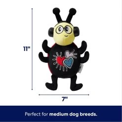 Frisco Valentine Jammin' Ladybug Plush Squeaky Dog Toy -Frisco 371083 PT1. AC SS1800 V1701364920
