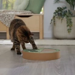 Frisco Interactive Maze & Scratch Cardboard Cat Toy Box With Catnip, Palms -Frisco 506130 PT4. AC SS1800 V1669212028