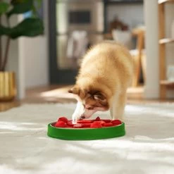 Frisco Watermelon Interactive Puzzle Dog Toy, Advanced -Frisco 506322 PT5. AC SS1800 V1674667034