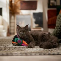 Frisco Halloween Frog In Witch Hat Plush Kicker Cat Toy With Catnip -Frisco 667942 PT3. AC SS1800 V1689355019