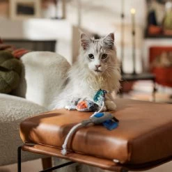 Frisco Halloween Cutie Bats Plush Cat Toy With Catnip -Frisco 667990 PT3. AC SS1800 V1689354957