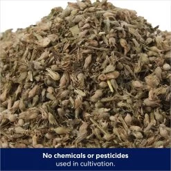 Frisco Natural Catnip & Hartz Cattraction Silver Vine & Catnip Gator Cat Scratcher Toy, Color Varies -Frisco 737470 PT3. AC SS1800 V1683212146