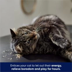 Frisco Natural Catnip & Hartz Cattraction Silver Vine & Catnip Gator Cat Scratcher Toy, Color Varies -Frisco 737470 PT4. AC SS1800 V1683212147