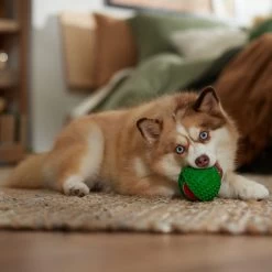 Frisco Holiday Fetch Squeaky Tennis Ball With Rubber Sleeve Dog Toy -Frisco 739686 PT3. AC SS1800 V1694812401