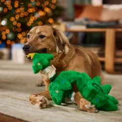 Frisco Holiday Elf In A Tree Bungee Plush Squeaky Dog Toy -Frisco 739846 PT3. AC SS1800 V1695047600