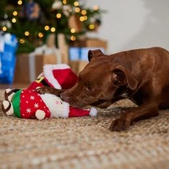 Frisco Holiday Santa On Vacation 2-in-1 Plush Squeaky Dog Toy -Frisco 739894 PT3. AC SS1800 V1695045718