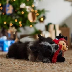 Frisco Holiday Reindeer Plush With TPR Ring Squeaky Puppy Toy 7 Frisco Holiday Reindeer Plush With TPR Ring Squeaky Puppy Toy -Frisco 739958 PT3. AC SS1800 V1695046549