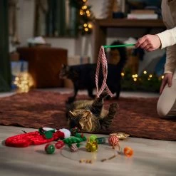 Frisco Holiday Cozy Christmas Sack Variety Pack Cat Toy With Catnip -Frisco 740054 PT3. AC SS1800 V1694812461